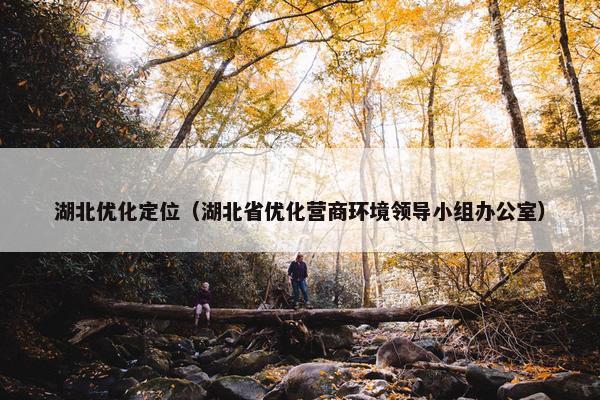 湖北优化定位（湖北省优化营商环境领导小组办公室）