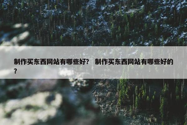 制作买东西网站有哪些好？ 制作买东西网站有哪些好的？