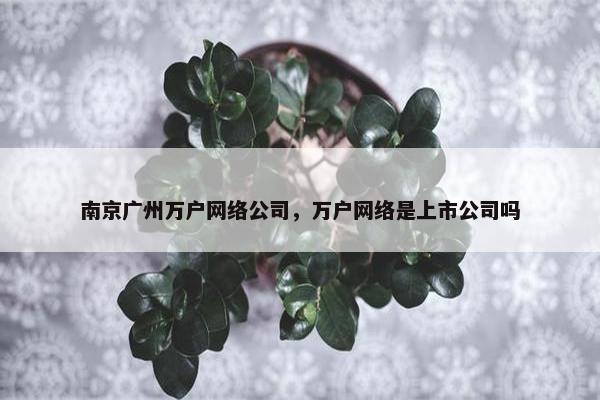 南京广州万户网络公司，万户网络是上市公司吗