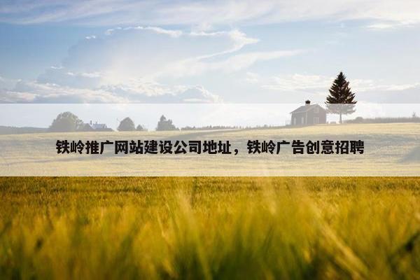 铁岭推广网站建设公司地址，铁岭广告创意招聘