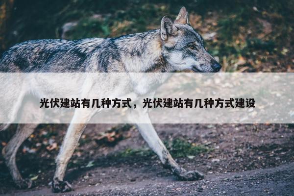 光伏建站有几种方式，光伏建站有几种方式建设