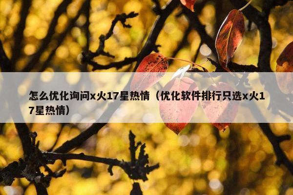 怎么优化询问x火17星热情（优化软件排行只选x火17星热情）