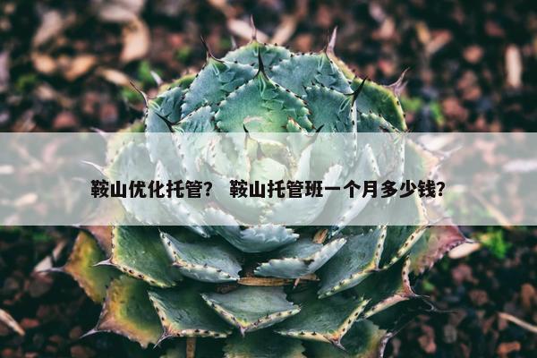 鞍山优化托管？ 鞍山托管班一个月多少钱？