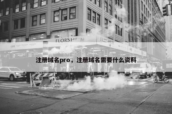 注册域名pro，注册域名需要什么资料