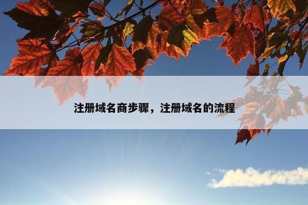 注册域名商步骤，注册域名的流程