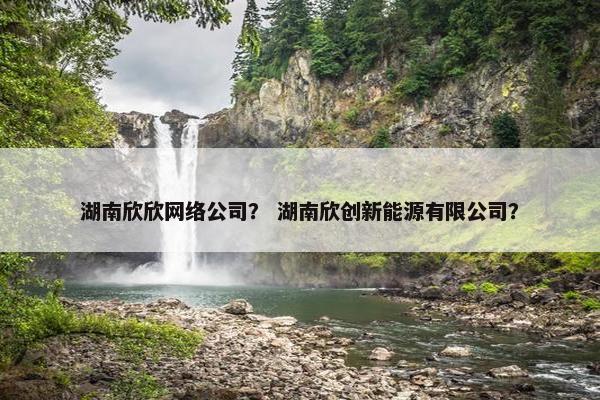 湖南欣欣网络公司？ 湖南欣创新能源有限公司？