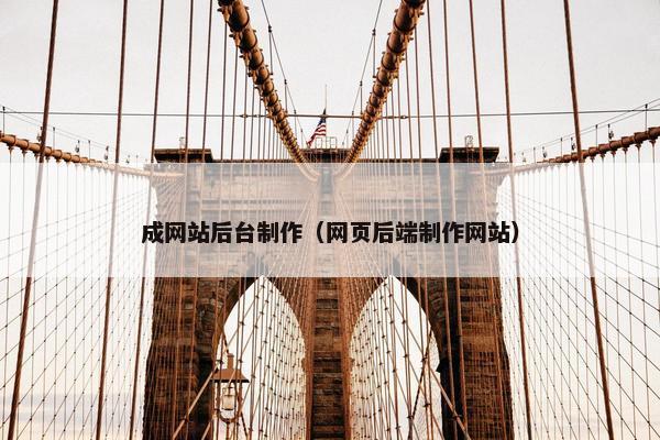成网站后台制作（网页后端制作网站）