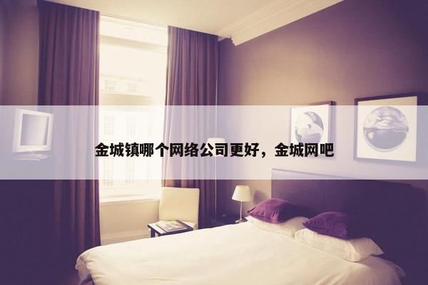 金城镇哪个网络公司更好，金城网吧