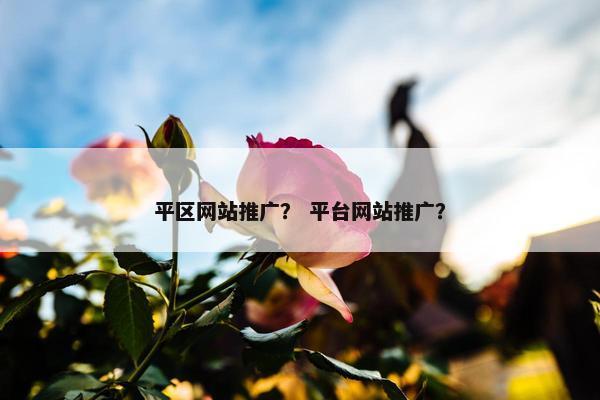 平区网站推广？ 平台网站推广？