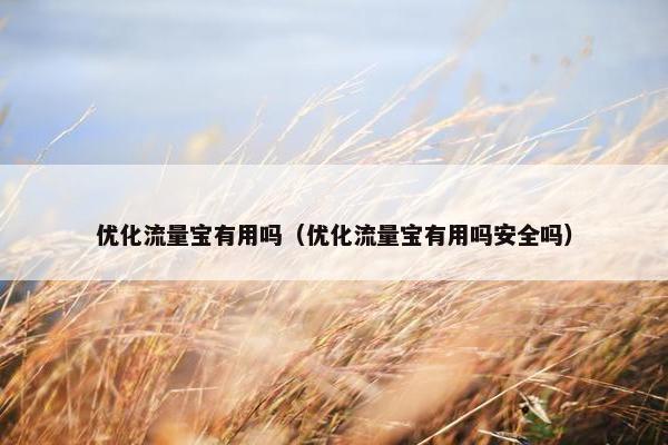 优化流量宝有用吗（优化流量宝有用吗安全吗）