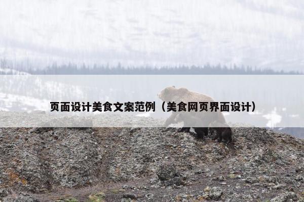 页面设计美食文案范例（美食网页界面设计）