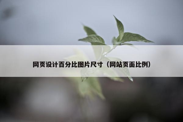 网页设计百分比图片尺寸（网站页面比例）