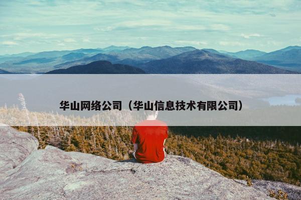 华山网络公司（华山信息技术有限公司）