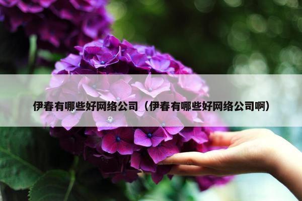伊春有哪些好网络公司（伊春有哪些好网络公司啊）