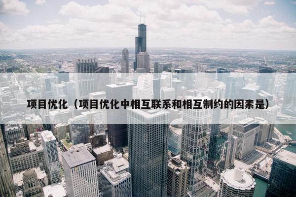 项目优化（项目优化中相互联系和相互制约的因素是）