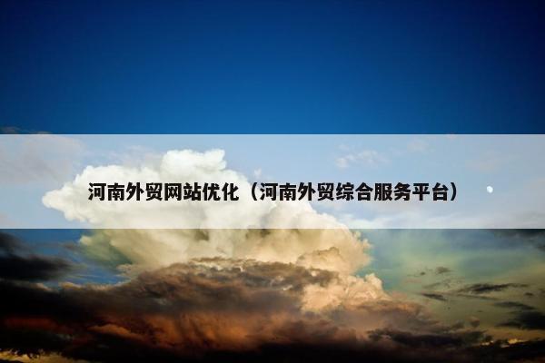 河南外贸网站优化（河南外贸综合服务平台）