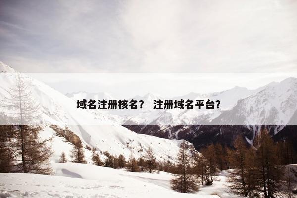 域名注册核名？ 注册域名平台？