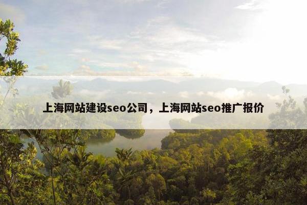 上海网站建设seo公司，上海网站seo推广报价