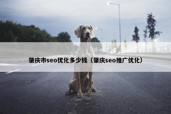 肇庆市seo优化多少钱（肇庆seo推广优化）