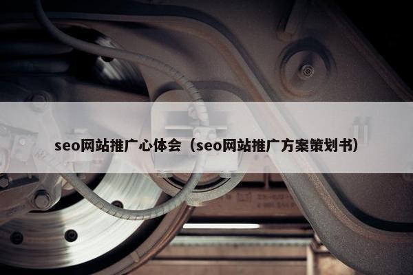 seo网站推广心体会（seo网站推广方案策划书）