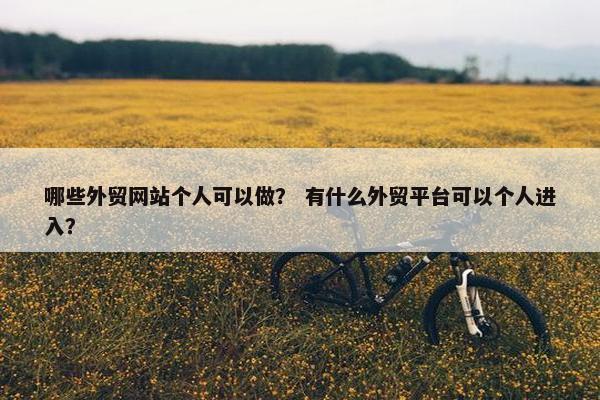 哪些外贸网站个人可以做？ 有什么外贸平台可以个人进入？