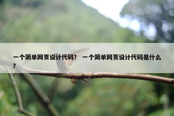 一个简单网页设计代码？ 一个简单网页设计代码是什么？