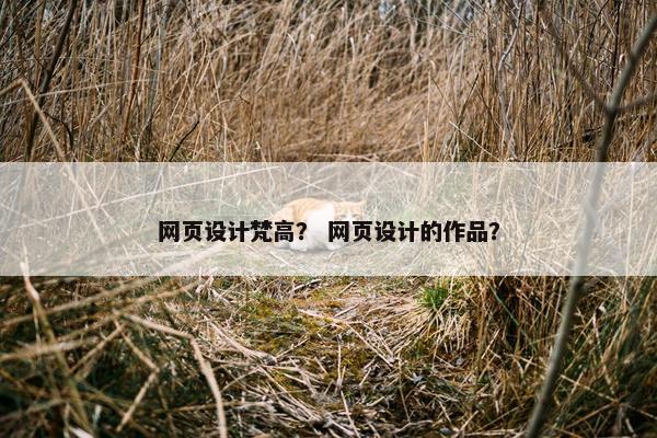 网页设计梵高？ 网页设计的作品？