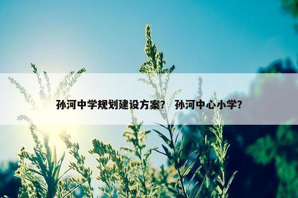 孙河中学规划建设方案？ 孙河中心小学？