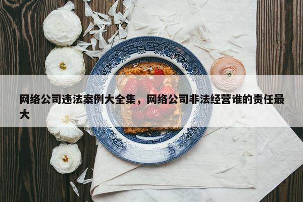 网络公司违法案例大全集，网络公司非法经营谁的责任最大