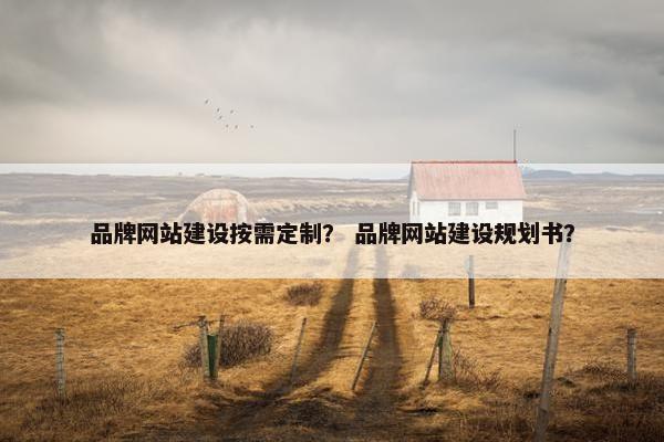 品牌网站建设按需定制？ 品牌网站建设规划书？