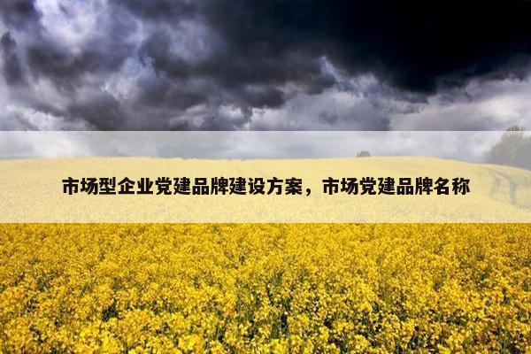 市场型企业党建品牌建设方案，市场党建品牌名称