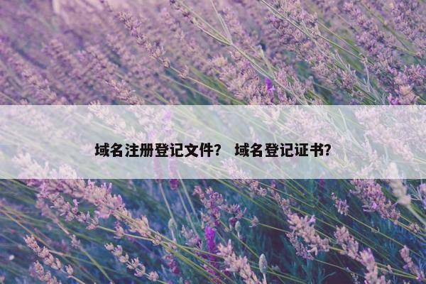 域名注册登记文件？ 域名登记证书？