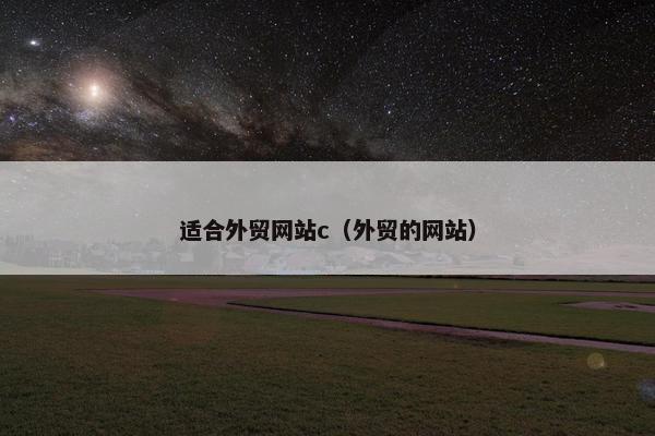 适合外贸网站c（外贸的网站）