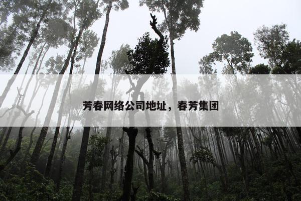 芳春网络公司地址，春芳集团