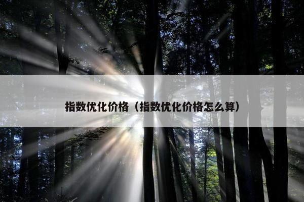 指数优化价格（指数优化价格怎么算）