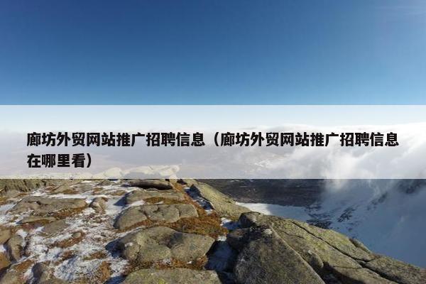 廊坊外贸网站推广招聘信息（廊坊外贸网站推广招聘信息在哪里看）
