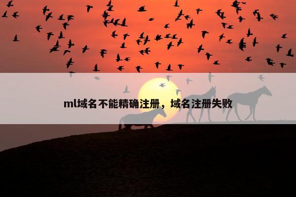 ml域名不能精确注册，域名注册失败