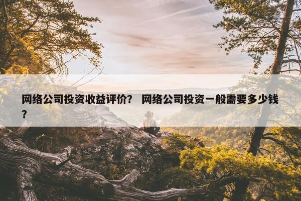 网络公司投资收益评价？ 网络公司投资一般需要多少钱？