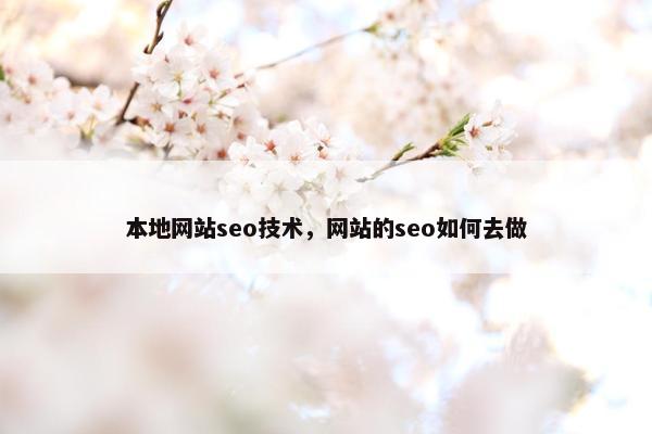 本地网站seo技术，网站的seo如何去做