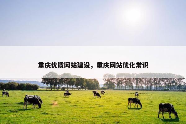 重庆优质网站建设，重庆网站优化常识