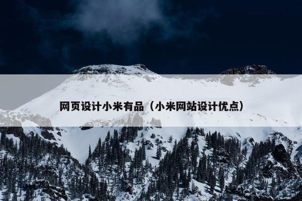 网页设计小米有品（小米网站设计优点）