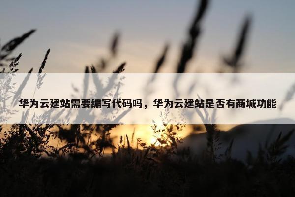 华为云建站需要编写代码吗，华为云建站是否有商城功能