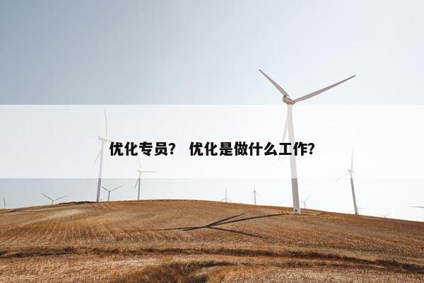 优化专员？ 优化是做什么工作？