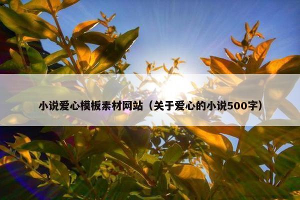 小说爱心模板素材网站（关于爱心的小说500字）