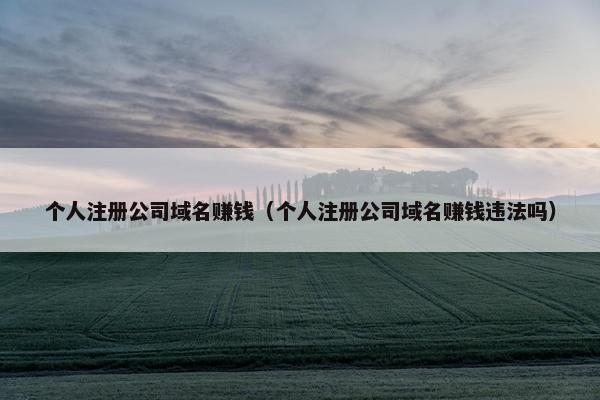 个人注册公司域名赚钱（个人注册公司域名赚钱违法吗）