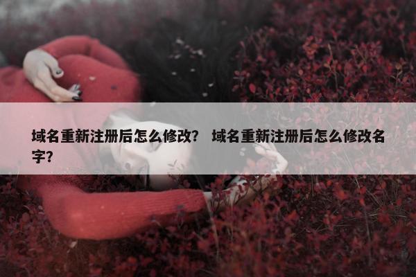 域名重新注册后怎么修改？ 域名重新注册后怎么修改名字？