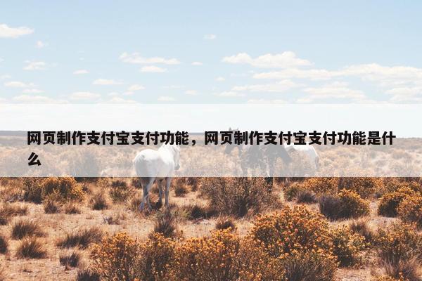 网页制作支付宝支付功能，网页制作支付宝支付功能是什么