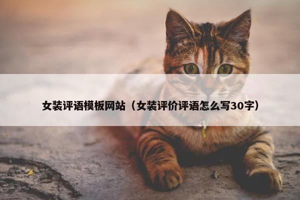 女装评语模板网站（女装评价评语怎么写30字）