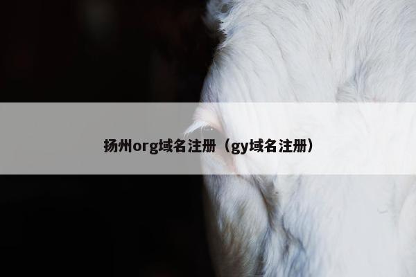 扬州org域名注册（gy域名注册）