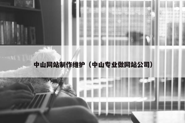 中山网站制作维护（中山专业做网站公司）